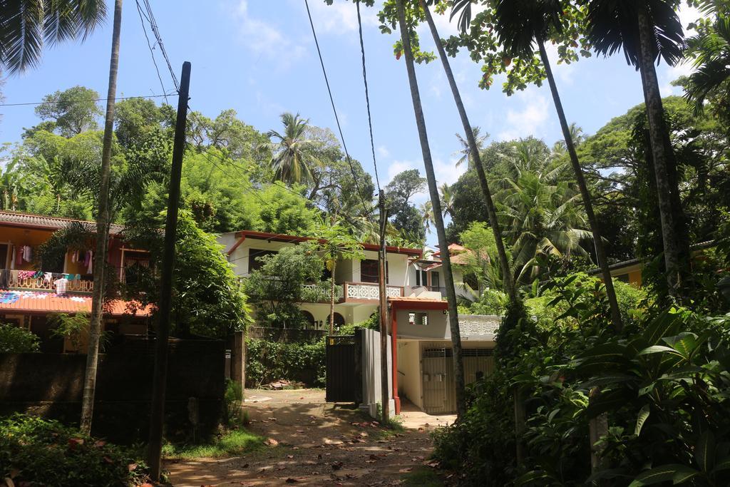 Jungle Guest House Гале Екстериор снимка