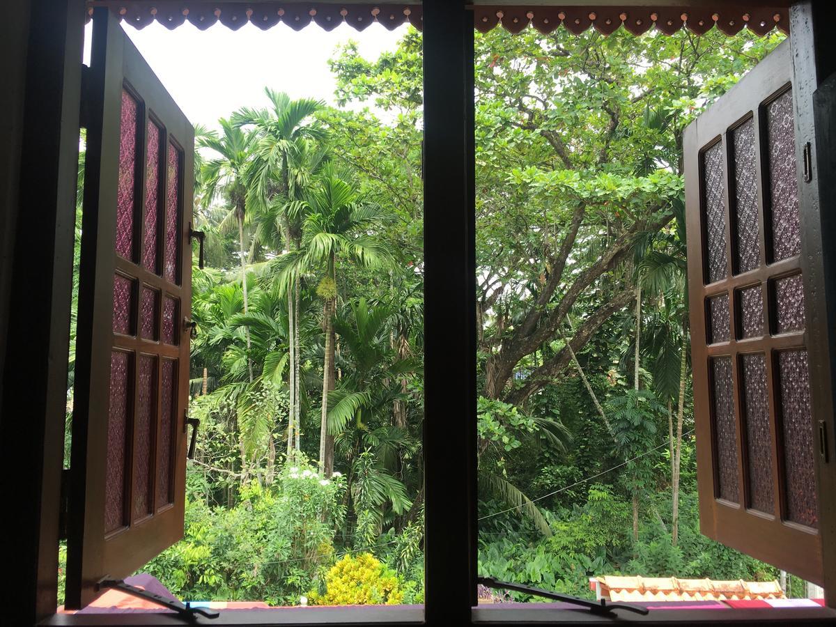 Jungle Guest House Гале Екстериор снимка